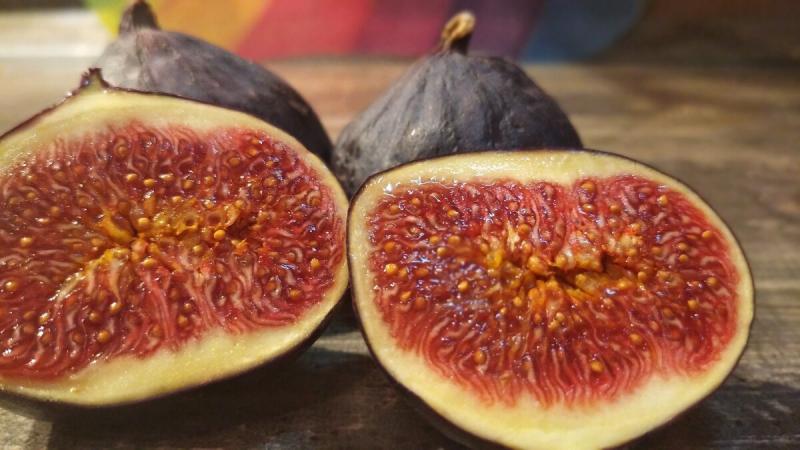 İncir İshal Yapar mı? ve İshale İyi Gelir mi?