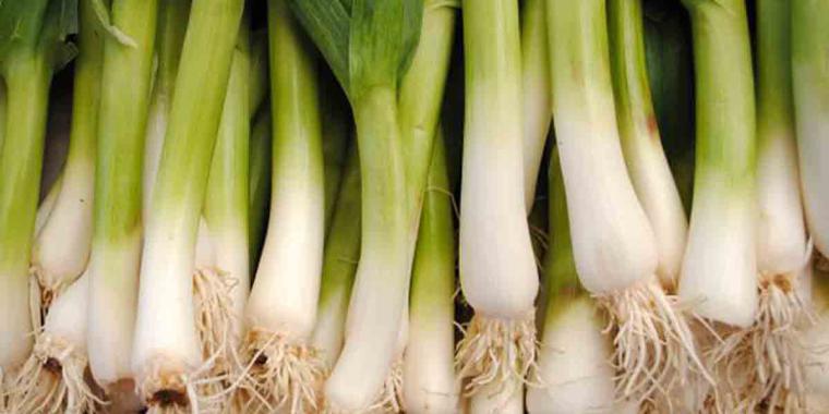 Pırasa İshal Yapar mı?